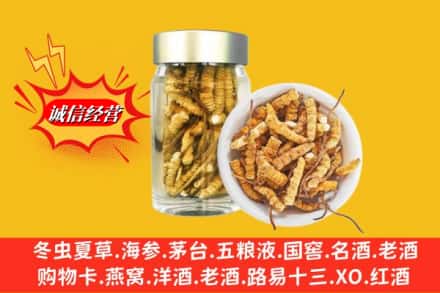 阳泉平定县回收散虫草