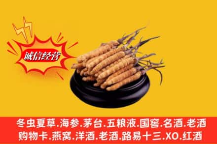阳泉平定县名酒回收冬虫夏草.jpg
